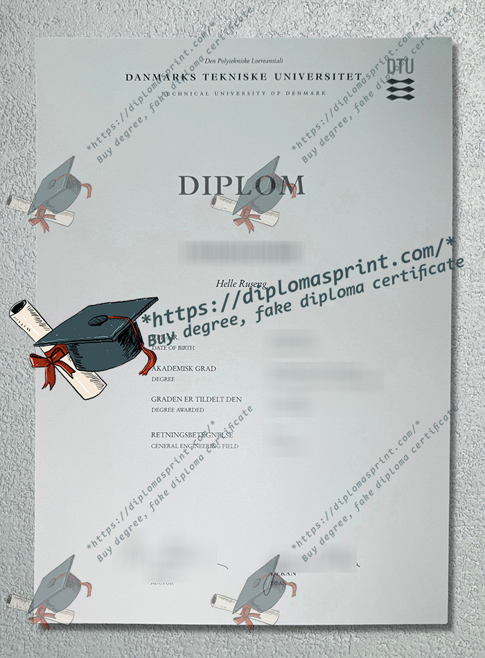 Technical University of Denmark Diploma, DTU Diploma