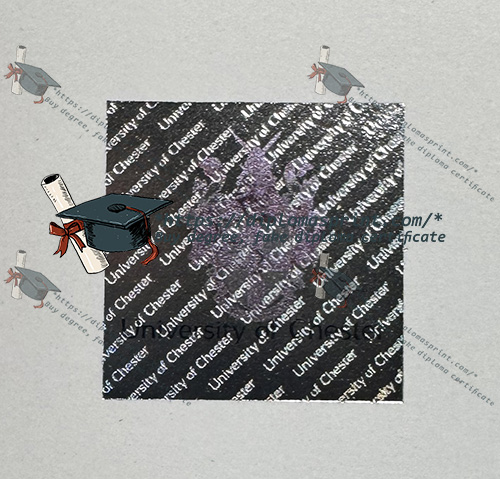 University of Chester Qualification Hologram Security