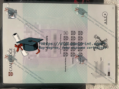 A1 Movers Cambridge Certificate