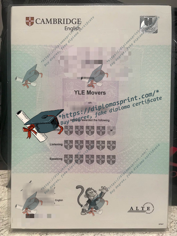 A1 Movers Cambridge Certificate