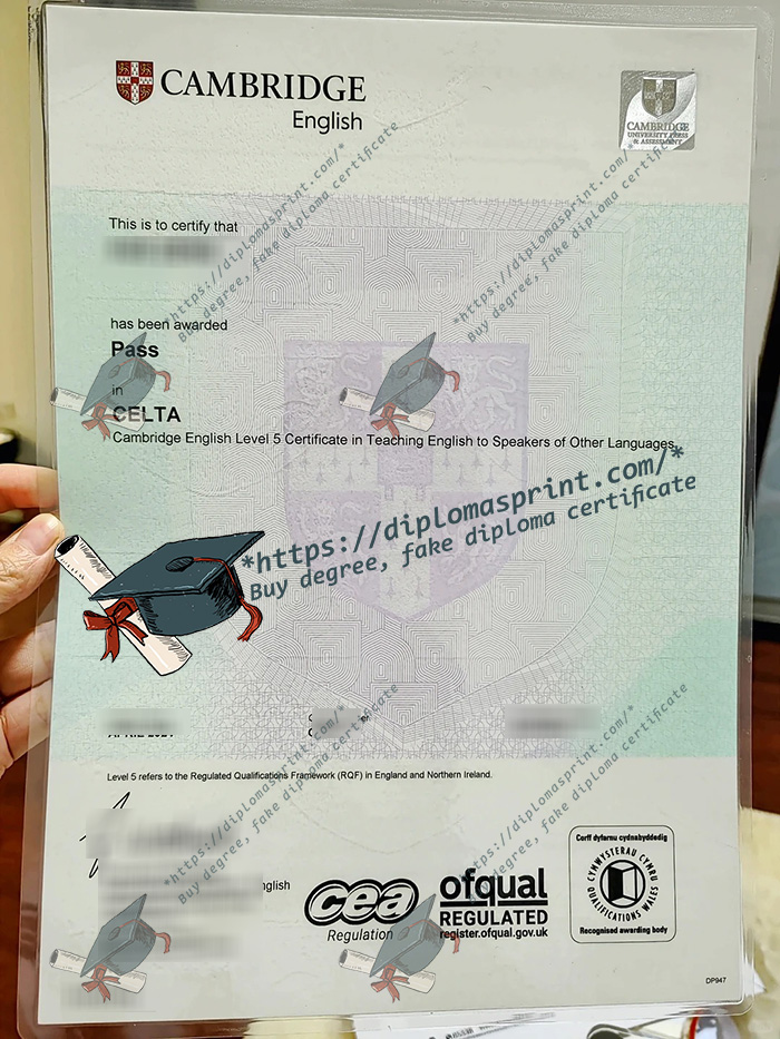 Cambridge English Level 5 Certificate in Teaching English to Speakers of Other Languages