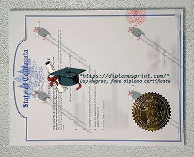 Apostille Certificate