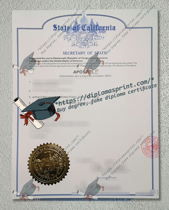 Apostille Certificate,