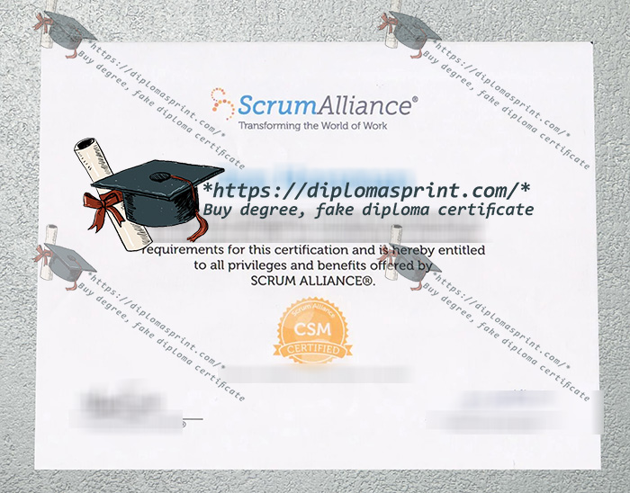 Certified Scrum Master replica