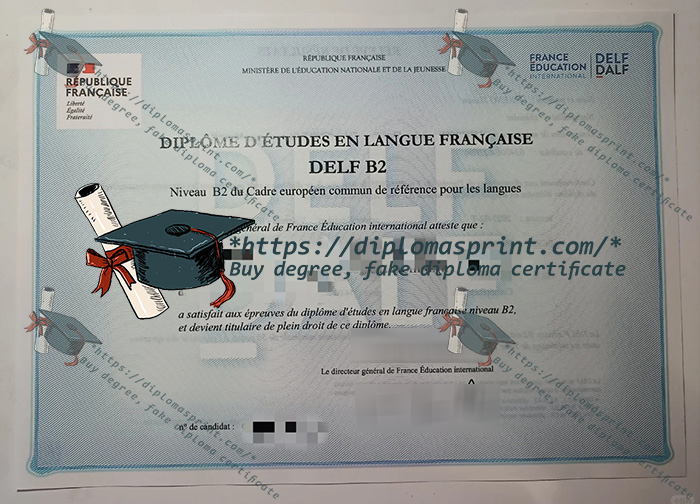 DELF B2 Certificate