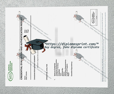 WES Evaluation Report replica