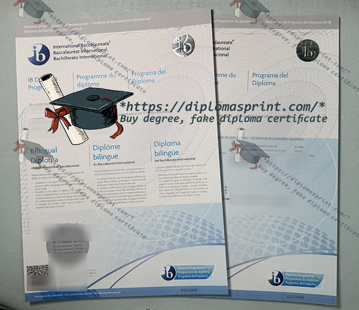 IB Diploma replacement