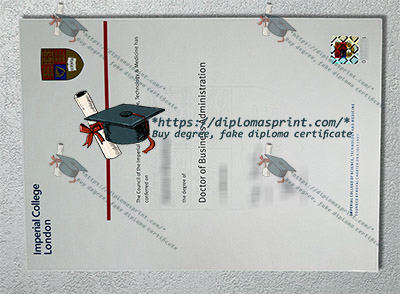 PhD Doctorate Diploma