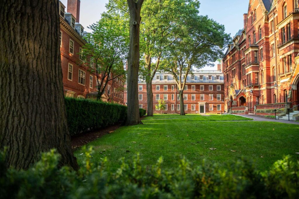 Ivy League Academic Transcript and Diploma
